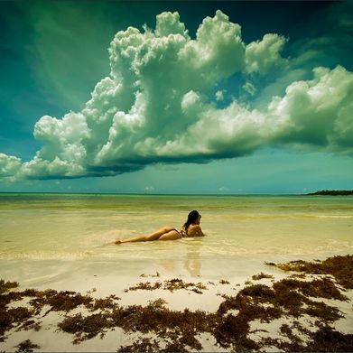 Aston M (asmartin911) Header Photo Added 2025-06-11