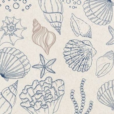 Alicia🌸 (alifer) Header Photo Added 2025-05-02