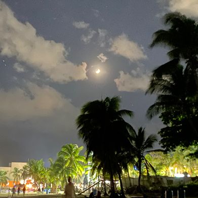 Sasse WendiiY (wendiiylaguna) Header Photo Added 2024-09-14