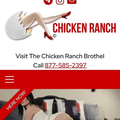 Kayla Belle 💖 (mskaylabelle) Header Photo Added 2025-11-12