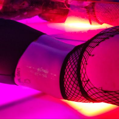 Emma (dixieroseemma) Header Photo Added 2025-04-05