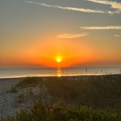 Molly 🍒 (lilbebemolls) Header Photo Added 2025-03-19