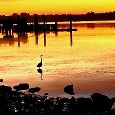 Humboldts Outlaw Mama XXX (u523006545) Header Photo Added 2025-12-05