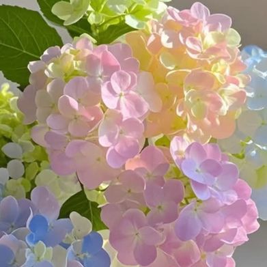 MareBare (baremare3) Header Photo Added 2025-05-24