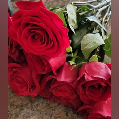 Scary Spice (scaryspice19) Header Photo Added 2024-12-26