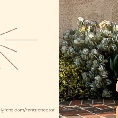 Lillie Quinn (tantricnectar) Header Photo Added 2024-09-14