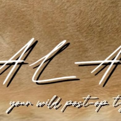 NALA 🦁ྀི (nala.tgrrl) Header Photo Added 2025-09-22