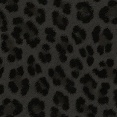 kitty ⋆˚🐾˖°♡ ⋆ (nymphok1tty) Header Photo Added 2025-02-11