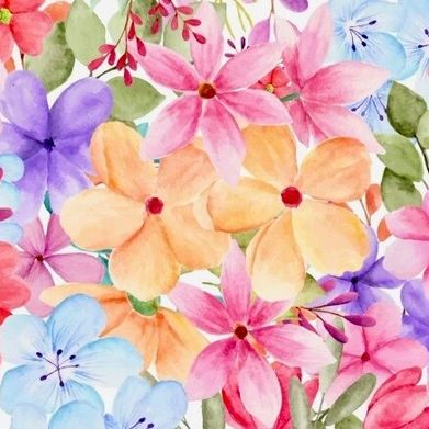 taylor (tayl0rtotz) Header Photo Added 2025-11-26