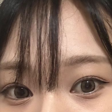 停更中 (10chan) OnlyFans Profile Image