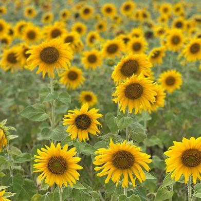 Kenzz (makeeeenzieeee) Header Photo Added 2025-05-02