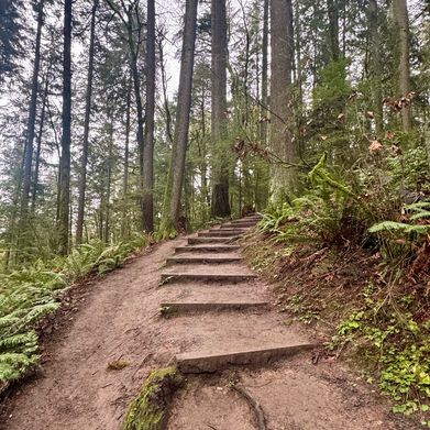 Lindsay Felton (lindsaymariefelton) Header Photo Added 2025-07-25