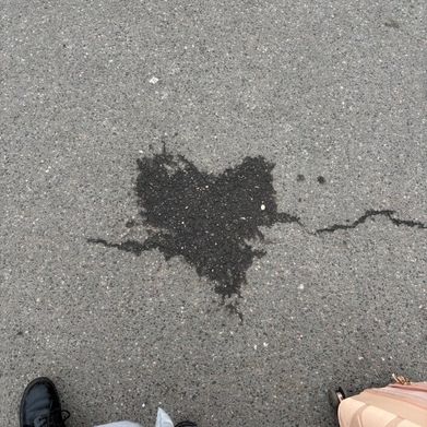 missie (missnovik) Header Photo Added 2025-11-24