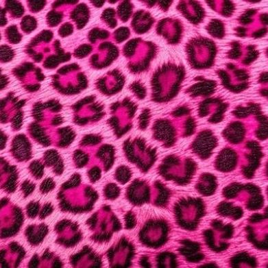 𝒮𝓁𝒾𝓂𝒶𝓈𝓈𝓉𝓇𝑜 (slimasstro) Header Photo Added 2025-12-01