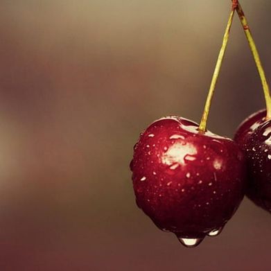 VeryCherryPepsii (verycherrypepsii) Header Photo Added 2024-09-08