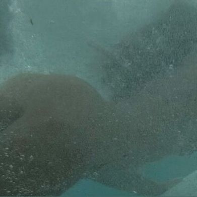 Jessica 🏄🏼‍♀️ (jessnfairies) Header Photo Added 2025-10-31