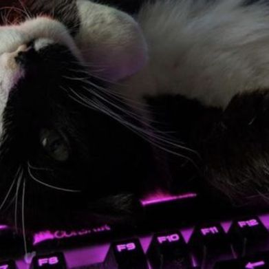 Emily (emilycutiex) Header Photo Added 2025-10-06