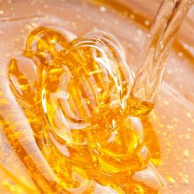 Honey (honeymagicxo) Header Photo Added 2025-02-05