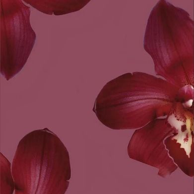 Bethany Lee (bblonde_xoxo) Header Photo Added 2025-02-03