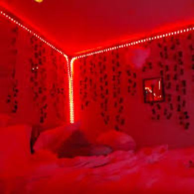 🌜 L U N A 🌛 (luna.mrt) Header Photo Added 2025-02-13