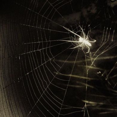 𝚜𝚊𝚋𝚛𝚒𝚗𝚊ᥫ᭡. (lilllbrieee) Header Photo Added 2025-05-28