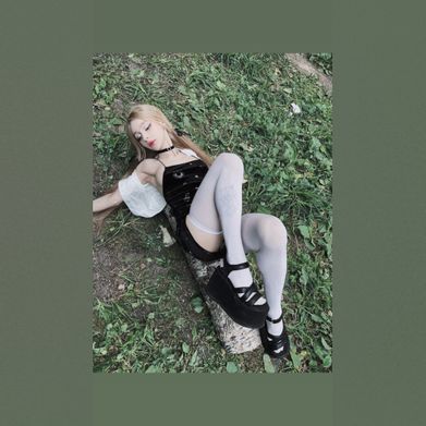 Shiro (shir0o) Header Photo Added 2025-09-26