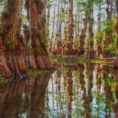 Honey (honeymagicxo) Header Photo Added 2025-06-24