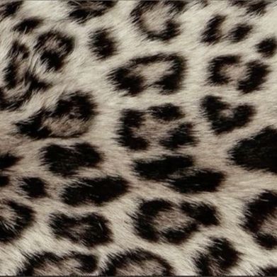 Sam ☽ Added Photo on 2025-05-06