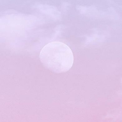 Bel Added Photo on 2025-01-23