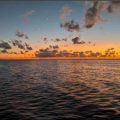 Eve - VIP (eve-vip) Header Photo Added 2025-03-07