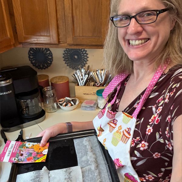 Joslyn’s VIP (theapronmodel1) OnlyFans profile photo