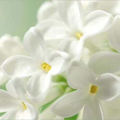 Kay Madison 😘💋💋💋 (kay3967) Header Photo Added 2025-06-02