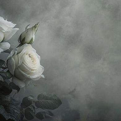 Beautiful🖤BigEyes (thickerthenasnicker) Header Photo Added 2024-06-03