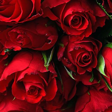 Amber Alexandra (amberralexx) Header Photo Added 2025-02-21