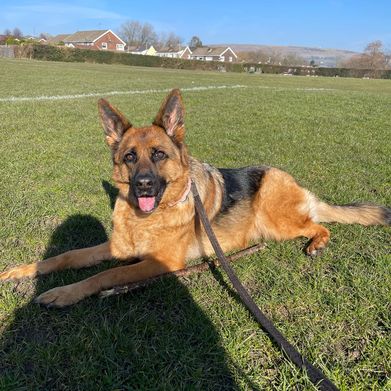 Anna Roper (annaroper) Header Photo Added 2025-09-06