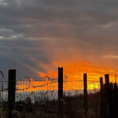 Midge’s VIP Section (midgetbtch) Header Photo Added 2025-12-01