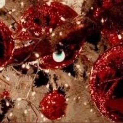 𝐁𝐞𝐭𝐡 - VIP (midwest_brat) Header Photo Added 2025-11-25