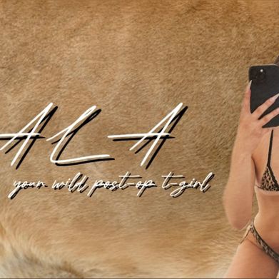 NALA 🦁ྀི (nala.tgrrl) Header Photo Added 2025-08-21