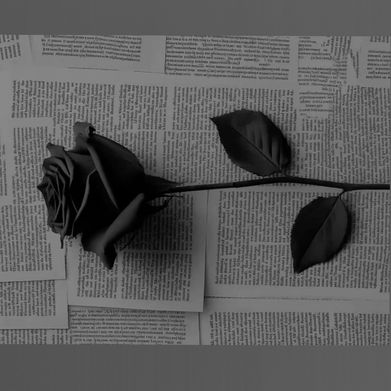 Gia (gia_dreams) Header Photo Added 2025-02-26