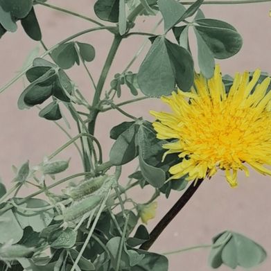 Baby Boo (babyboo6) Header Photo Added 2025-07-28