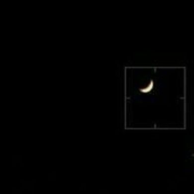 Coraline ☽ (secretcoraline) Header Photo Added 2024-08-22