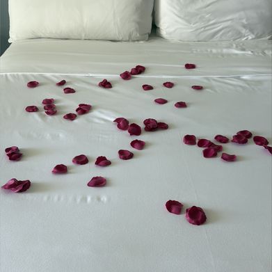 VictoriaLiuTV (victorialiutv) Header Photo Added 2025-09-07