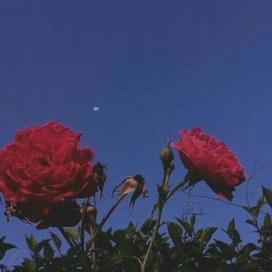 Xclusively Mani (xxxclusivelymami) Header Photo Added 2024-12-02