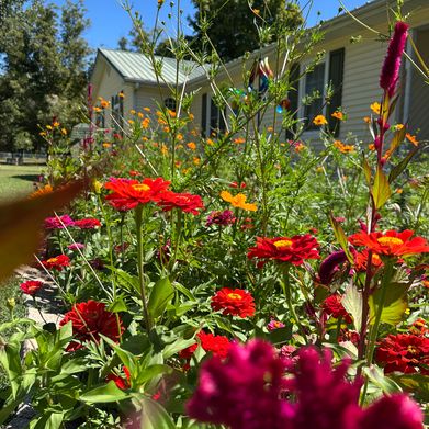 brooklynnn Added Photo on 2025-09-11