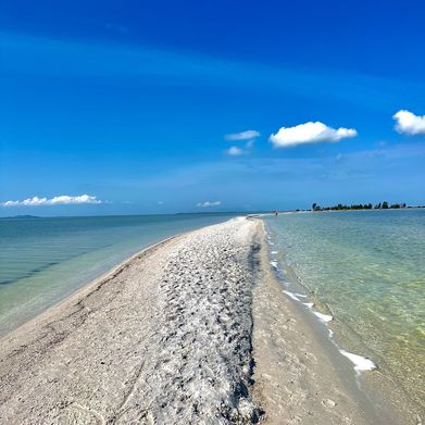 Julia Lopes (jxlxnh) Header Photo Added 2025-08-13