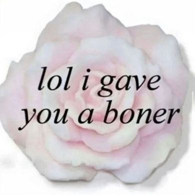 Liz (lizzzardj) Header Photo Added 2025-02-14