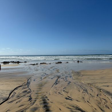 cammie (notcam.au) Header Photo Added 2025-05-05