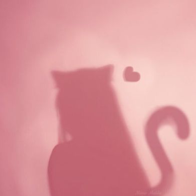 Emma💗 (emmylife) Header Photo Added 2025-11-19