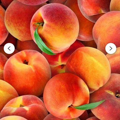 Peaches🍑 (ripegeorgiapeaches) Header Photo Added 2025-07-10