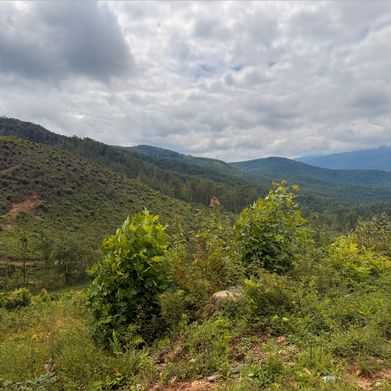 B. (nakedbynaturexo) Header Photo Added 2025-08-25